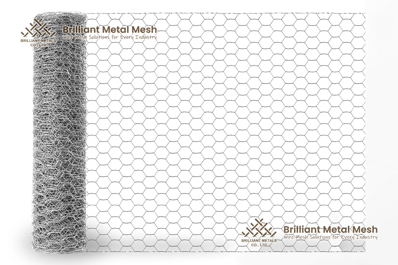 Stainless Steel Chicken Wire Mesh Hexagonal Wire Netting Galvanized PVC Coated Stainless Steel Chicken Wire Mesh Hexagonal Wire Netting Galvanized PVC Coated