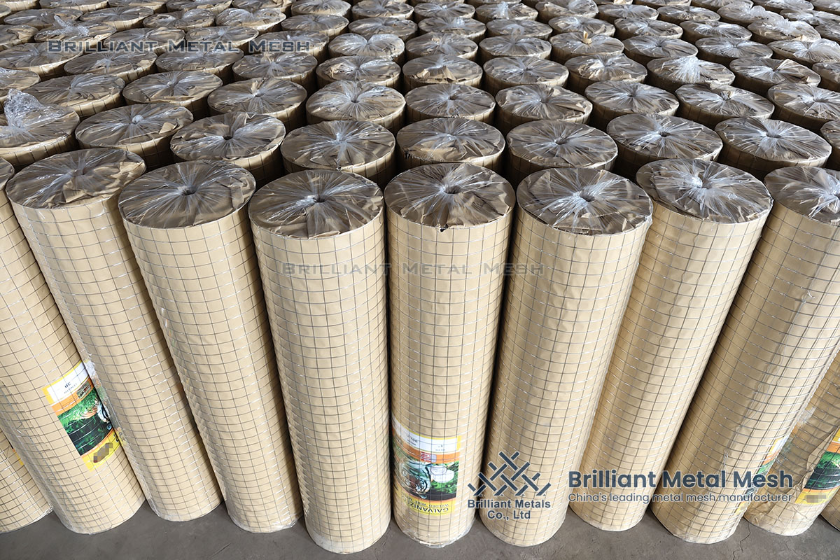galvanized welded wire mesh rolls galvanized welded wire mesh rolls